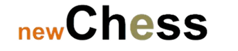 newChess-Soluciones en transporte internaciona y logística